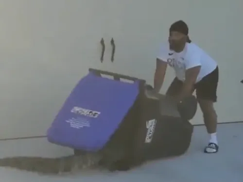 Un homme capture un alligator… avec une poubelle ! (Vidéo)